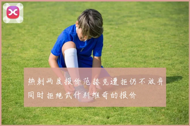 热刺两度报价范赫克遭拒仍不放弃同时拒绝武什科维奇的报价